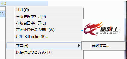 U盘高级共享如何设置？U盘高级共享的方法？